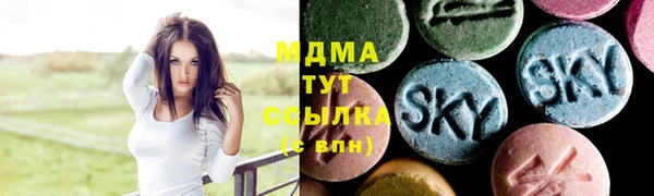 стаф Алексин