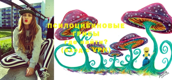 мяу мяу мука Алзамай