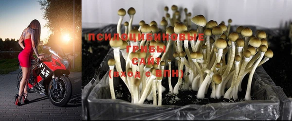 марки lsd Алексеевка