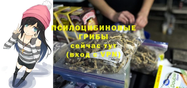 мяу мяу мука Алзамай