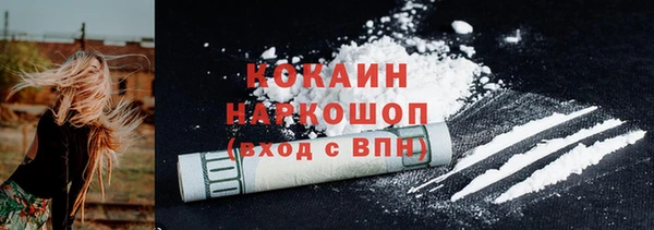 стаф Алексин
